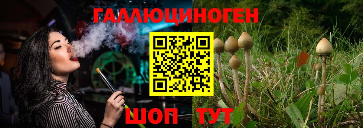 Галлюциногенные грибы MAGIC MUSHROOMS  Галлюциногенные грибы мицелий  Самара  Вход с VPN 